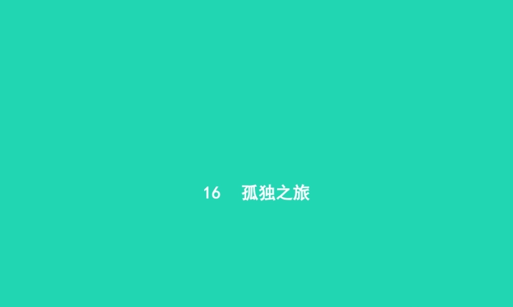 九年级语文上册 第四单元 16 孤独之旅课件 新人教版 课件
