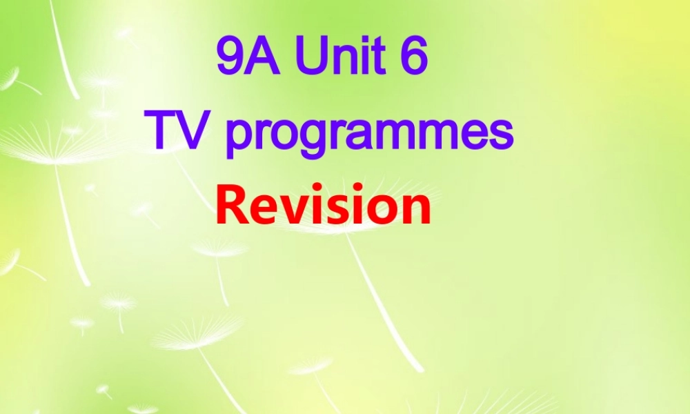 九年级英语上册 Unit 6 TV programmes Revision课件 (新版)牛津版 课件