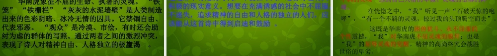 七年级语文下册 28 华南虎课件 新人教版 课件