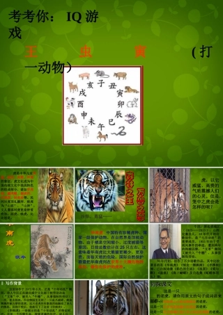 七年级语文下册 28 华南虎课件 新人教版 课件