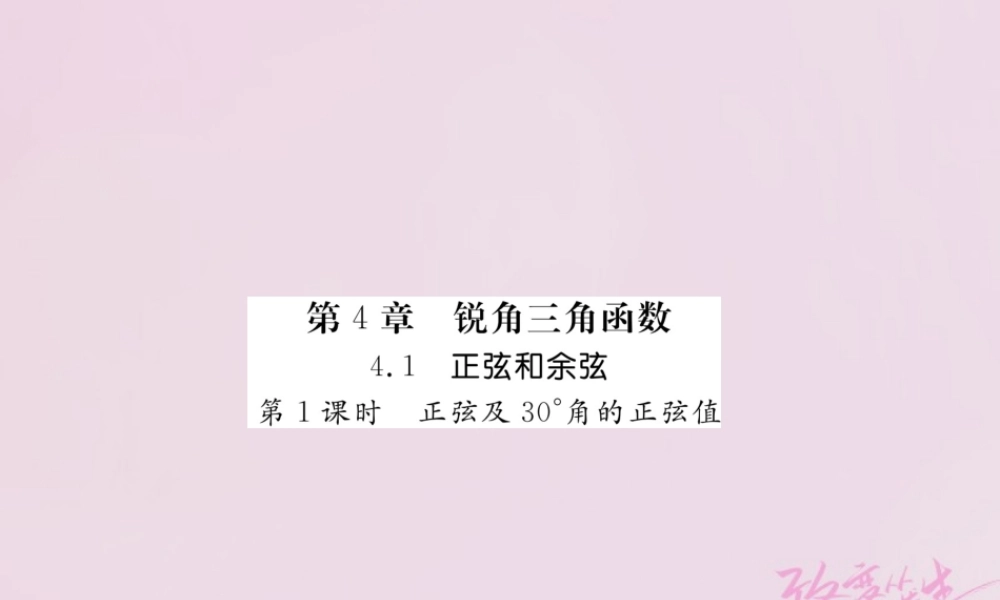 九年级数学上册 41 正弦和余弦(第1课时)正弦及30°角的正弦值练习课件 (新版)湘教版 课件