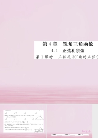九年级数学上册 41 正弦和余弦(第1课时)正弦及30°角的正弦值练习课件 (新版)湘教版 课件