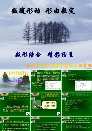 八年级数学二元一次方程组的图象解法课件 苏科版 课件