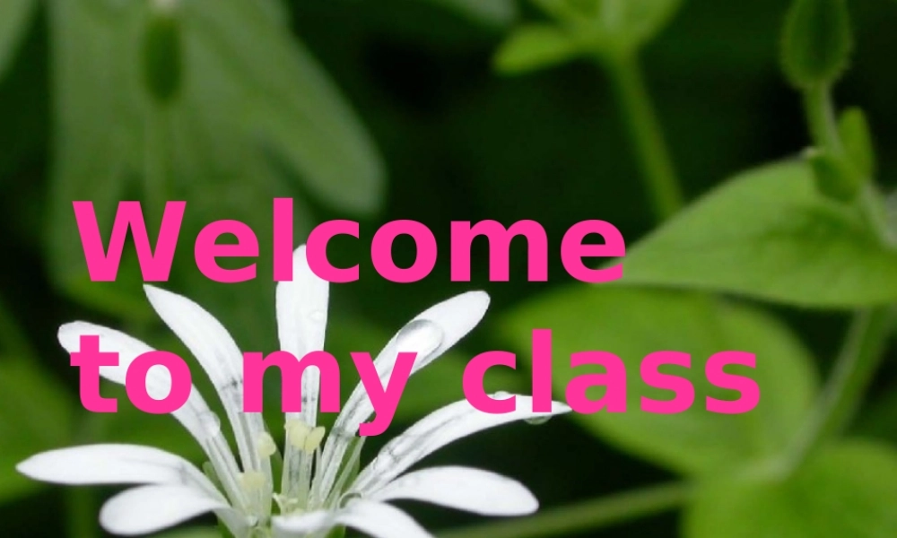 新人教版必修2高一英语unit5课件