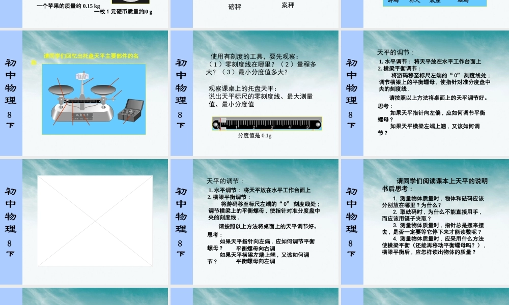 初中物理竞赛 物体的质量课件