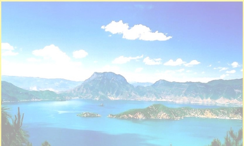 八年级物理上册 平均速度的测量课件 北师大版 课件