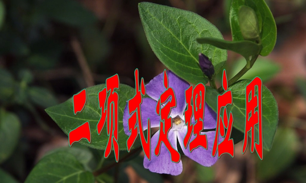 二项式定理及其应用 人教版 课件