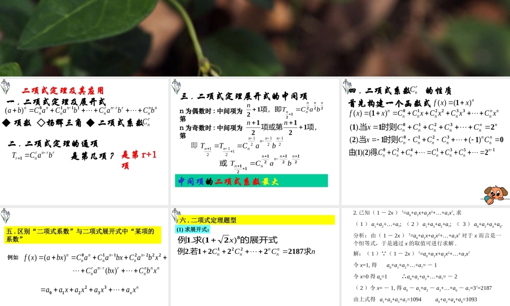 二项式定理及其应用 人教版 课件