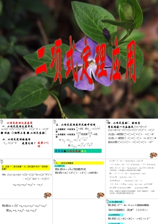 二项式定理及其应用 人教版 课件