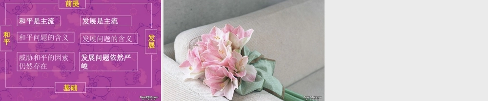 初三政治复习课件 911事件 课件