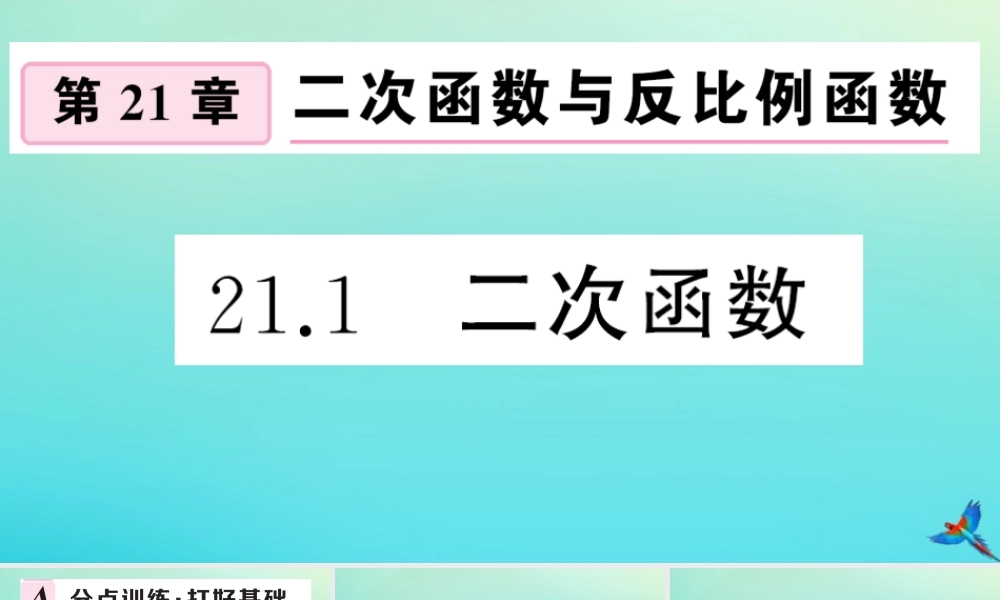 九年级数学上册 第21章 二次函数与反比例函数 211 二次函数作业课件 (新版)沪科版 课件