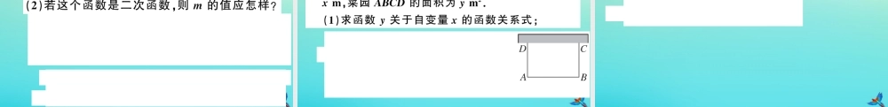 九年级数学上册 第21章 二次函数与反比例函数 211 二次函数作业课件 (新版)沪科版 课件