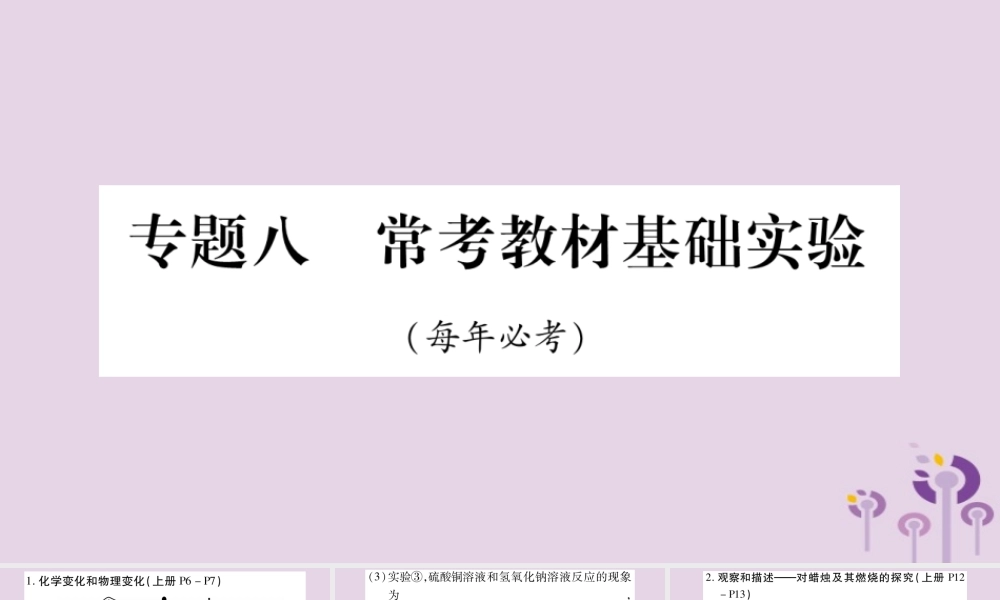 中考化学复习 第二部分 重难题型专题突破 专题八 常考教材基础实验(精讲)课件