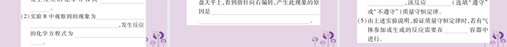中考化学复习 第二部分 重难题型专题突破 专题八 常考教材基础实验(精讲)课件