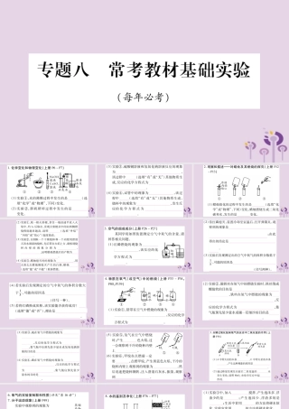 中考化学复习 第二部分 重难题型专题突破 专题八 常考教材基础实验(精讲)课件
