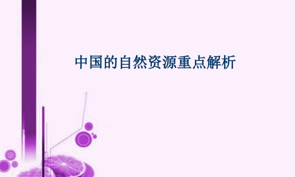 中国的自然资源八年级地理上册课件示例 课件