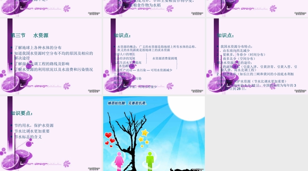 中国的自然资源八年级地理上册课件示例 课件