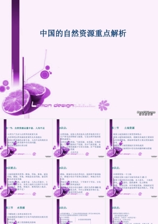 中国的自然资源八年级地理上册课件示例 课件