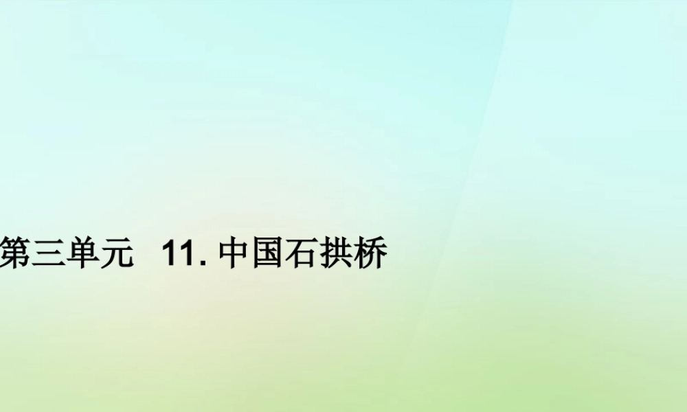 八年级语文上册 第三单元 11.中国石拱桥习题课件 新人教版 课件