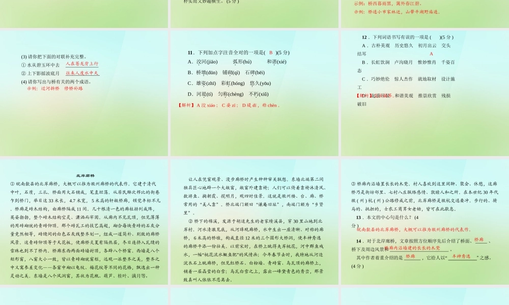 八年级语文上册 第三单元 11.中国石拱桥习题课件 新人教版 课件