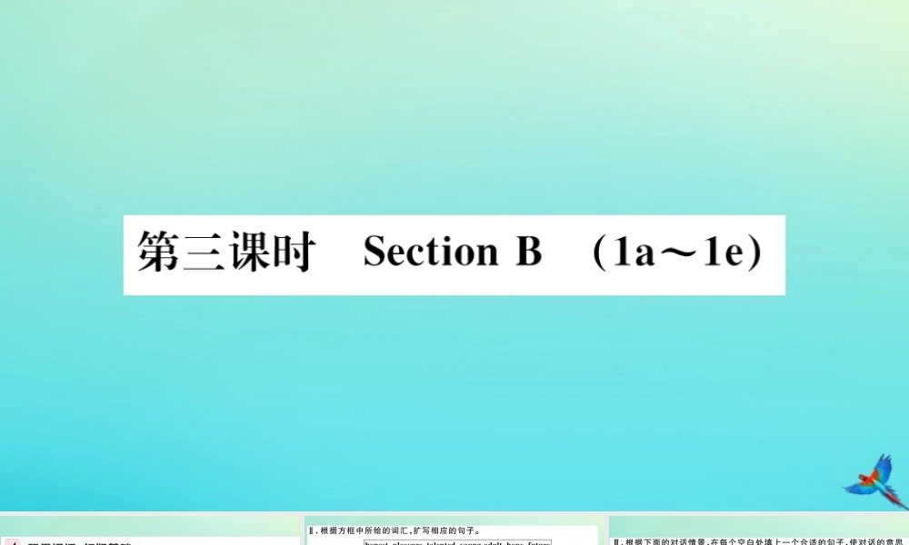 九年级英语全册 Unit 14 I remember meeting all of you in Grade 7(第3课时)习题课件 (新版)人教新目标版 课件