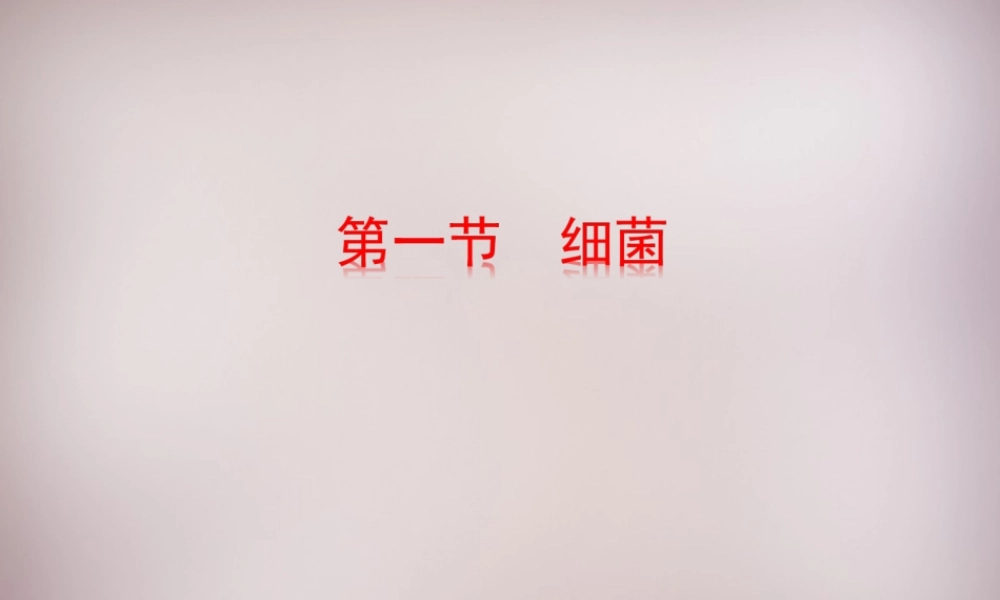 八年级生物上册 第五单元 第一章 第1节(细菌)探究型课件 (新版)冀教版 课件