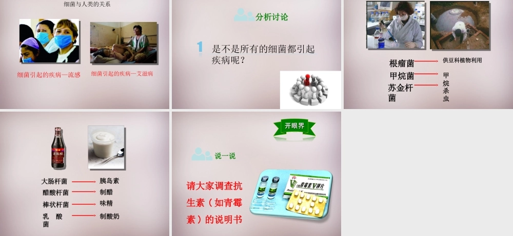 八年级生物上册 第五单元 第一章 第1节(细菌)探究型课件 (新版)冀教版 课件