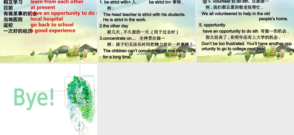 九年级英语 Unit 3 Teenagers shouldbe allowed to课件 人教新目标版 课件