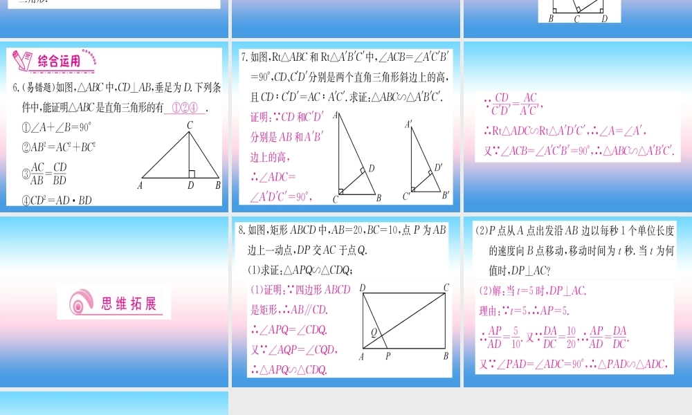 九年级数学下册 第27章 相似 272 相似三角形 2721 相似三角形的判定 第5课时 直角三角形的相似课堂导练课件(含中考真题)(新版)新人教版 课件