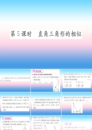 九年级数学下册 第27章 相似 272 相似三角形 2721 相似三角形的判定 第5课时 直角三角形的相似课堂导练课件(含中考真题)(新版)新人教版 课件