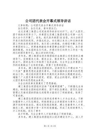 公司团代表会开幕式领导讲话