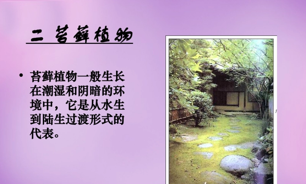 八年级生物下册 22.3 植物的主要类群课件2 北师大版 课件