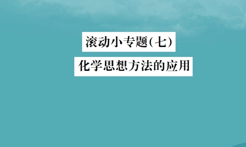 中考化学复习 滚动小专题(七)化学思想方法的应用课件 鲁教版 课件