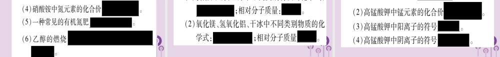中考化学复习 第一部分 基础知识 第二单元 化学基本概念和原理 第12讲 化学用语(含化学式的计算)(精练)课件