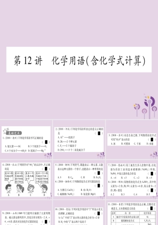 中考化学复习 第一部分 基础知识 第二单元 化学基本概念和原理 第12讲 化学用语(含化学式的计算)(精练)课件