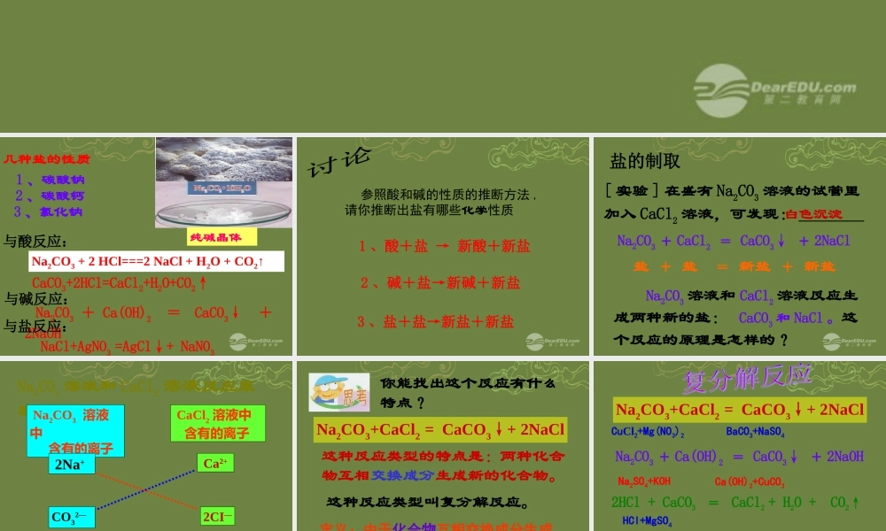 九年级科学上册 第一章(探索物质的变化)几种重要的盐课件2 浙教版 课件