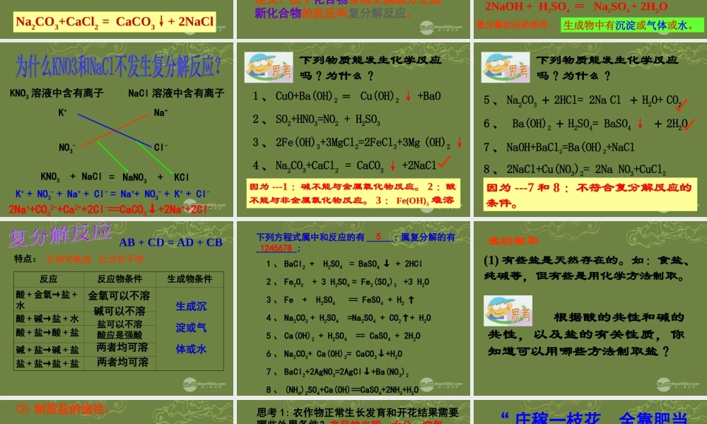 九年级科学上册 第一章(探索物质的变化)几种重要的盐课件2 浙教版 课件