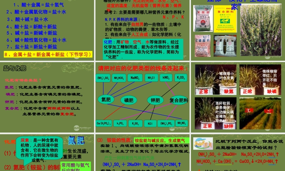 九年级科学上册 第一章(探索物质的变化)几种重要的盐课件2 浙教版 课件