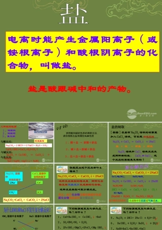 九年级科学上册 第一章(探索物质的变化)几种重要的盐课件2 浙教版 课件
