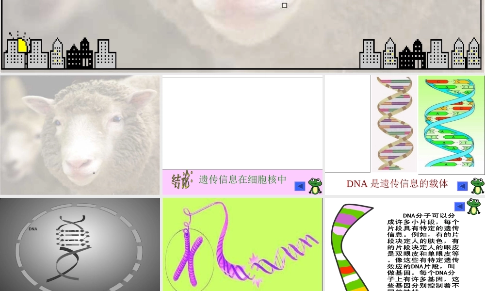 七年级生物细胞核是遗传信息库课件 新课标 人教版 课件
