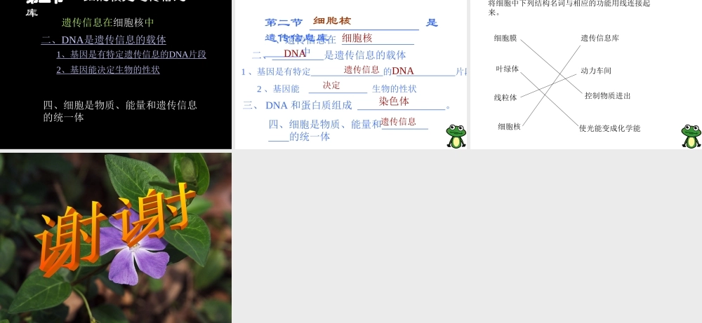 七年级生物细胞核是遗传信息库课件 新课标 人教版 课件