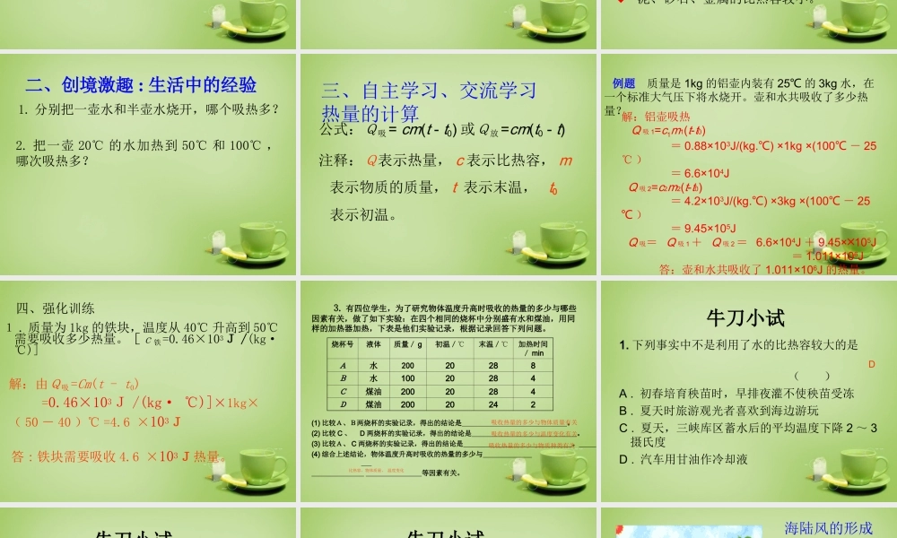 九年级物理全册 第十章 第三节 探究—物质的比热容课件2 (新版)北师大版 课件