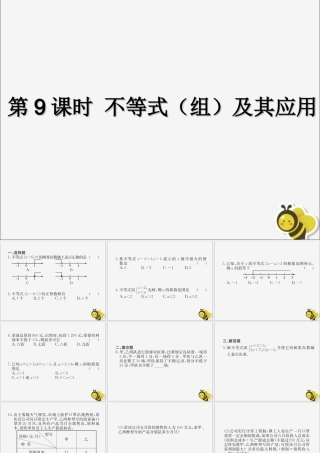 中考数学复习 第9课时 不等式(组)及其应用(课后作业)课件