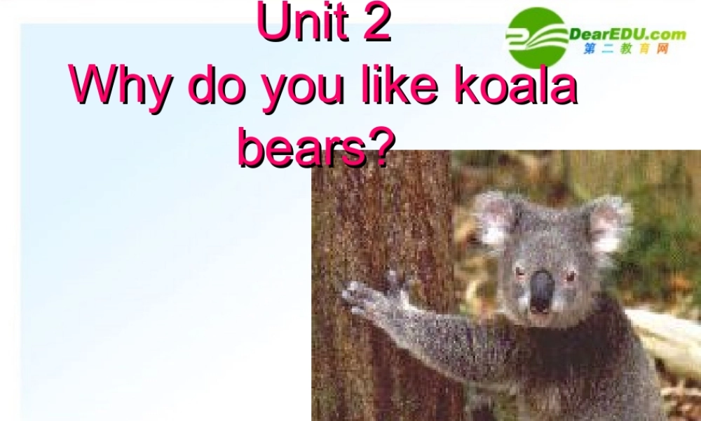 七年级英语下册 why do you like koalas课件 人教新目标版 课件
