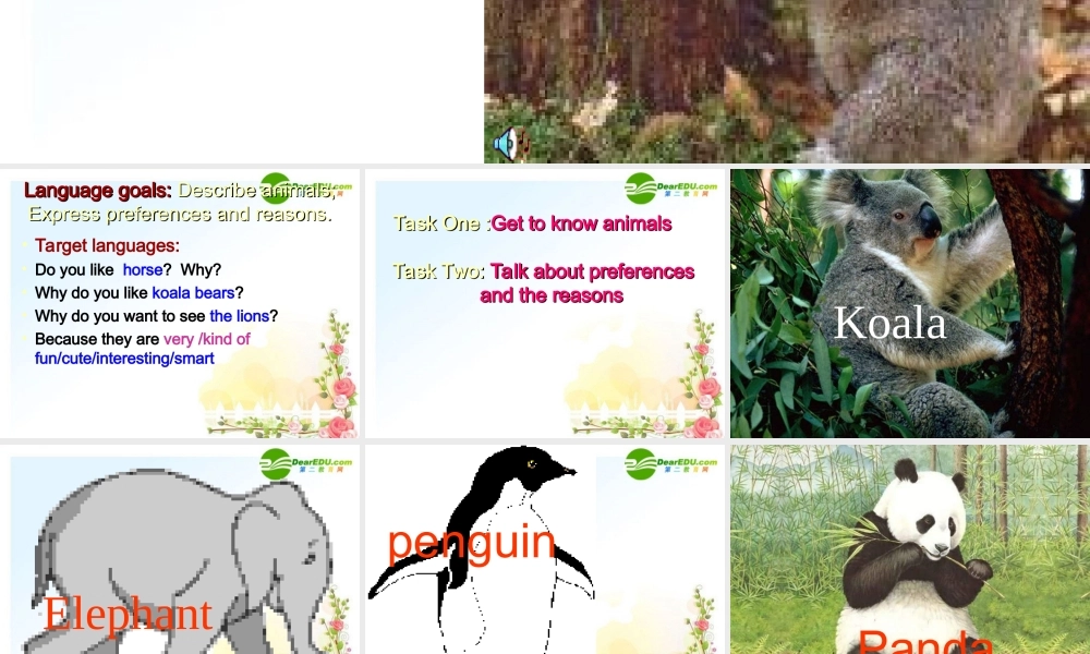 七年级英语下册 why do you like koalas课件 人教新目标版 课件