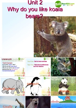 七年级英语下册 why do you like koalas课件 人教新目标版 课件