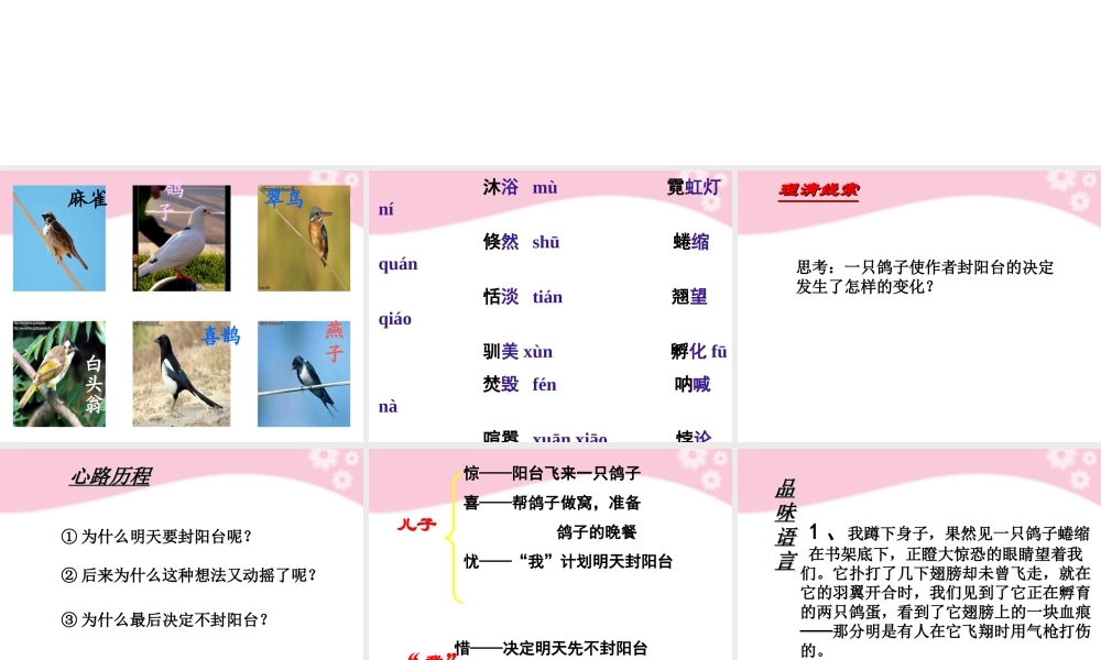 八年级语文(明天不封阳台)课件  课件