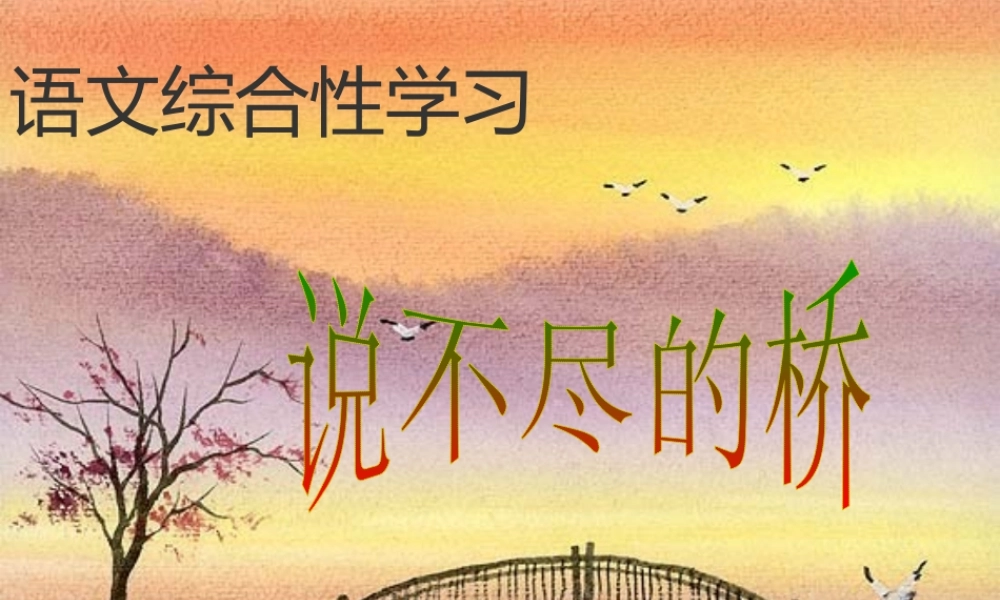 八年级语文上册(说不尽的桥)优秀实用课件 人教新课标版 课件