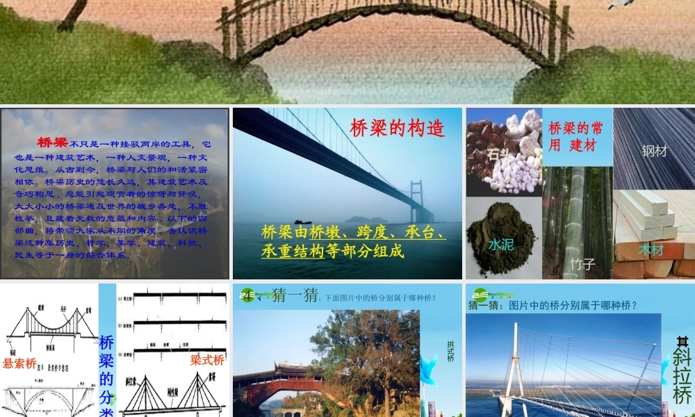 八年级语文上册(说不尽的桥)优秀实用课件 人教新课标版 课件