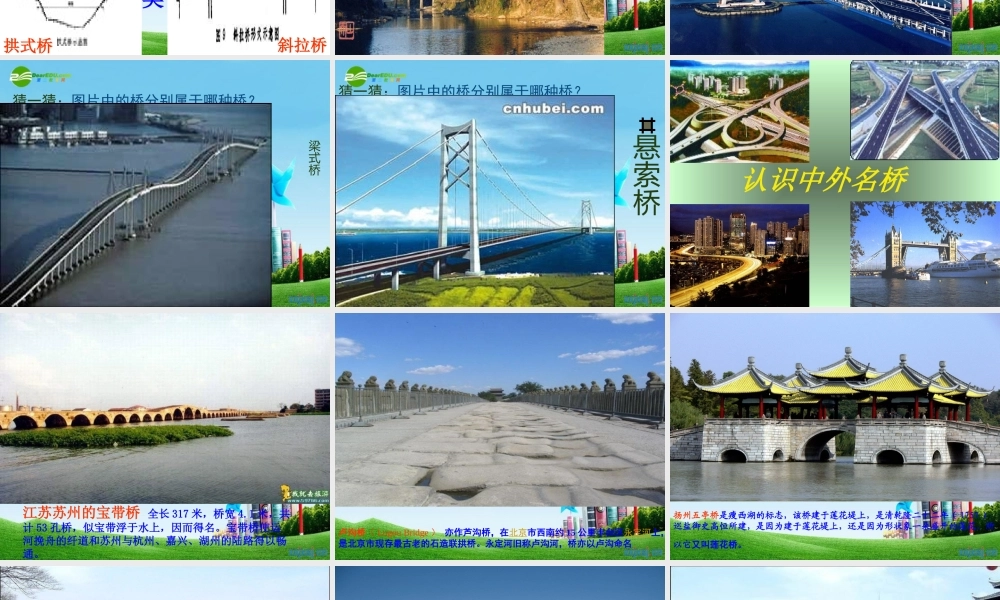 八年级语文上册(说不尽的桥)优秀实用课件 人教新课标版 课件